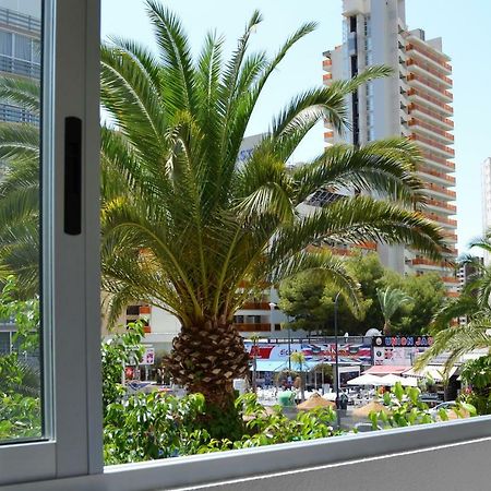 Margarita Apartment Benidorm Exteriér fotografie